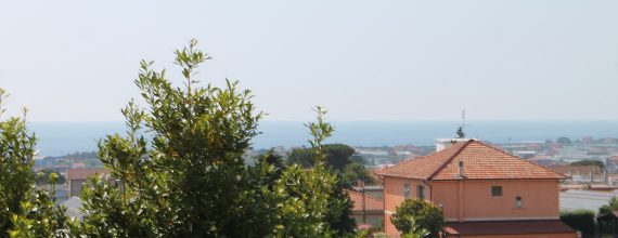 Le Camere